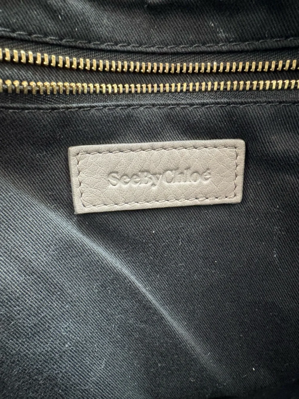 See by Chloé Taupe Pebbled Leather Satchel Bag | Gold Hardware | Authentic - Picture 9 of 13